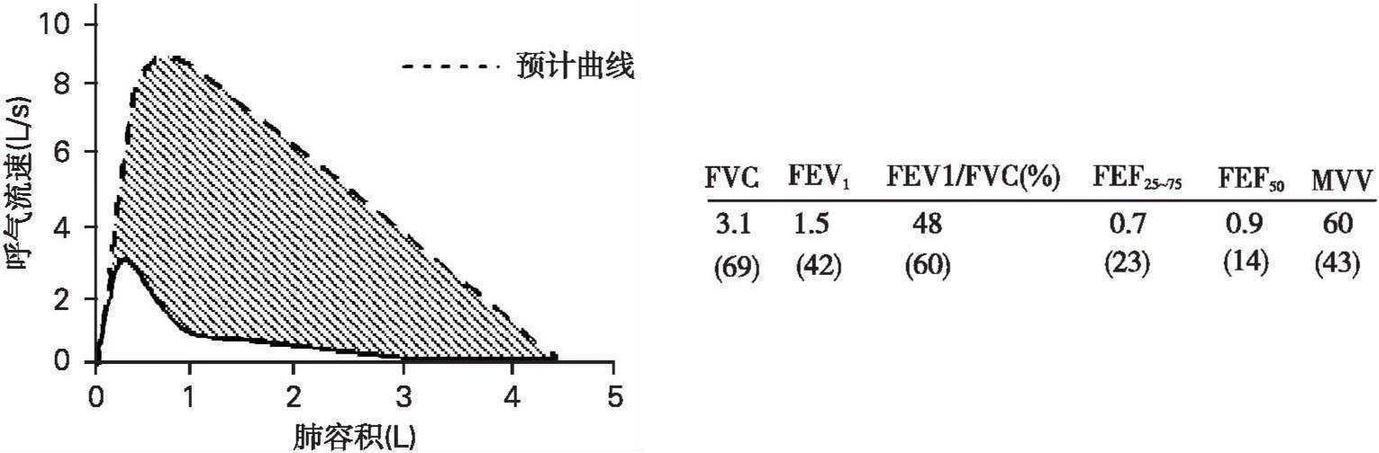第三節 肺通氣功能判斷